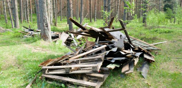 Debris Removal Service in Champaign