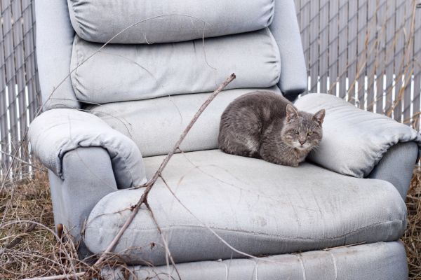 Recliner Disposal in Champaign