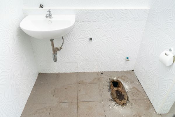 Toilet Disposal in Champaign